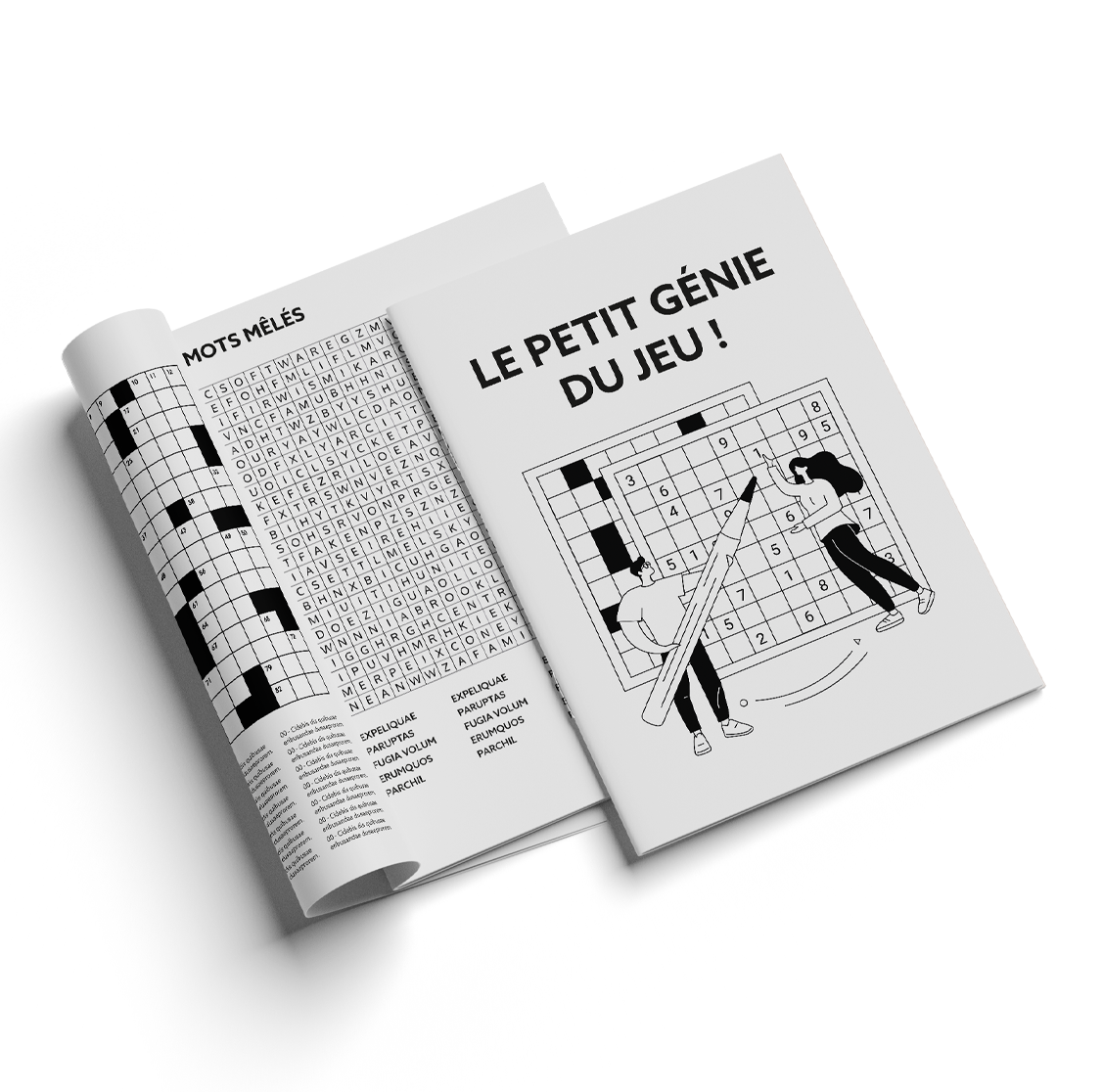 Magazine de jeu