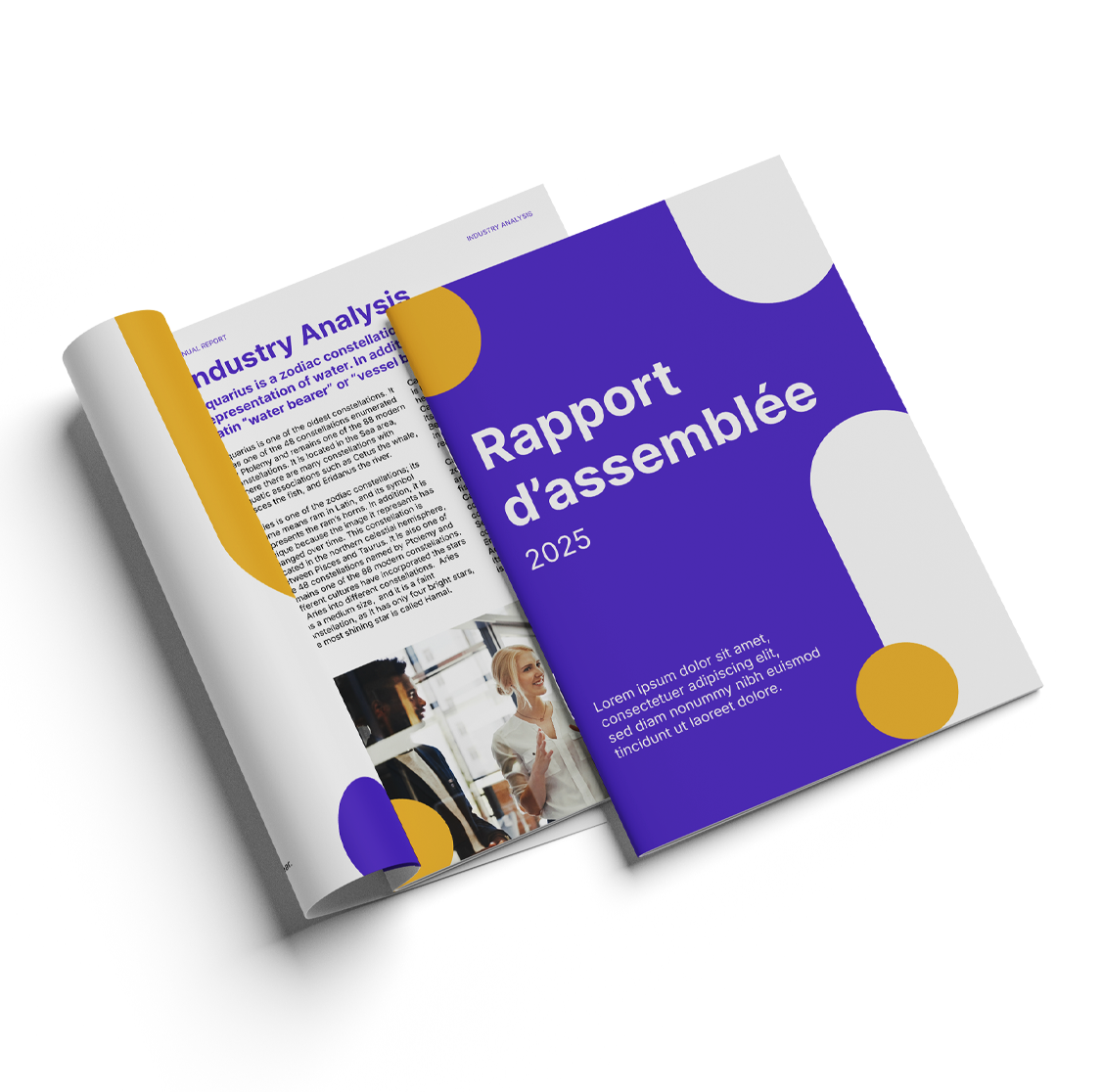 Rapport d'assemblée