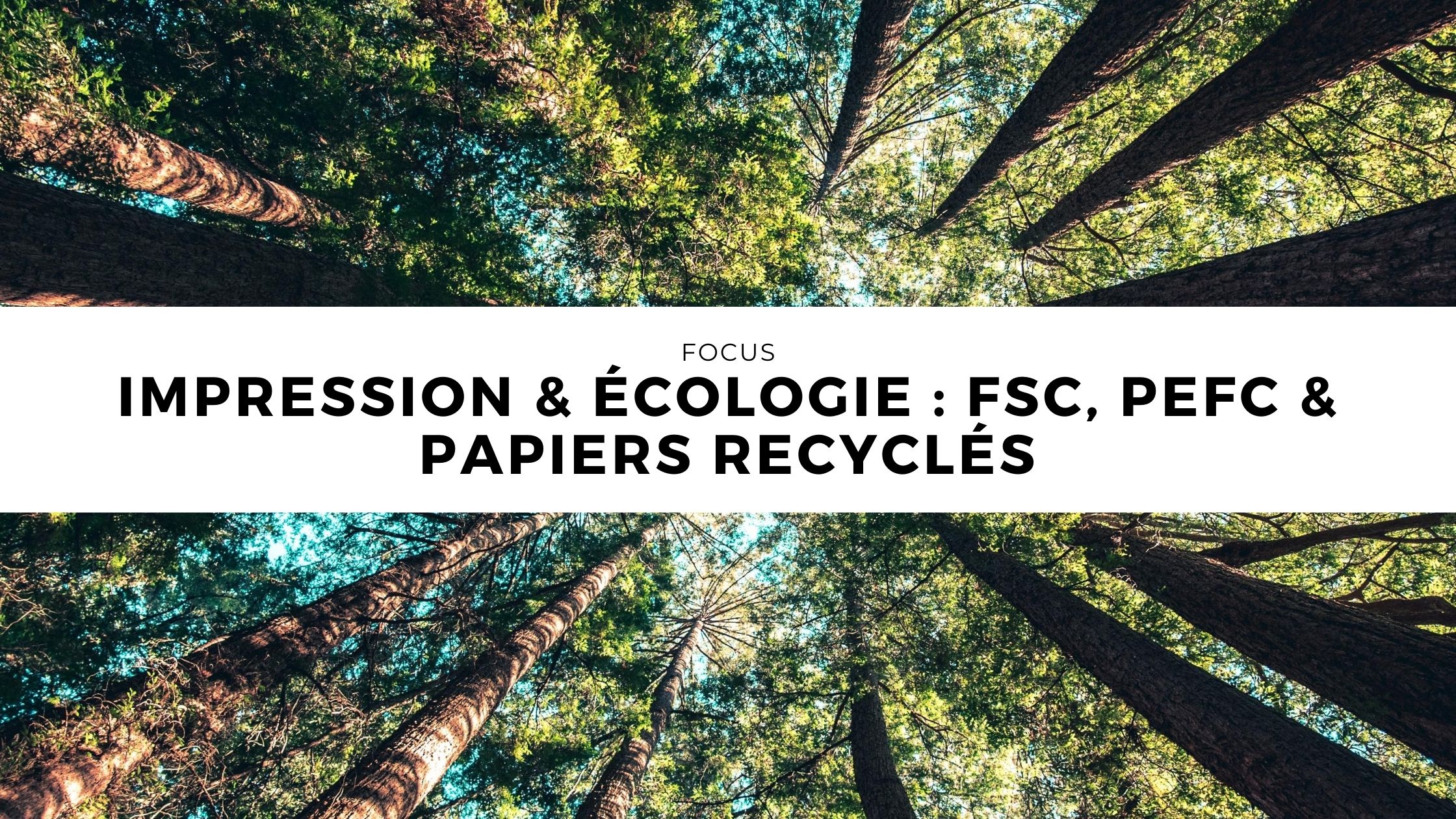 Impression & Écologie : FSC, PEFC, Recyclé ?