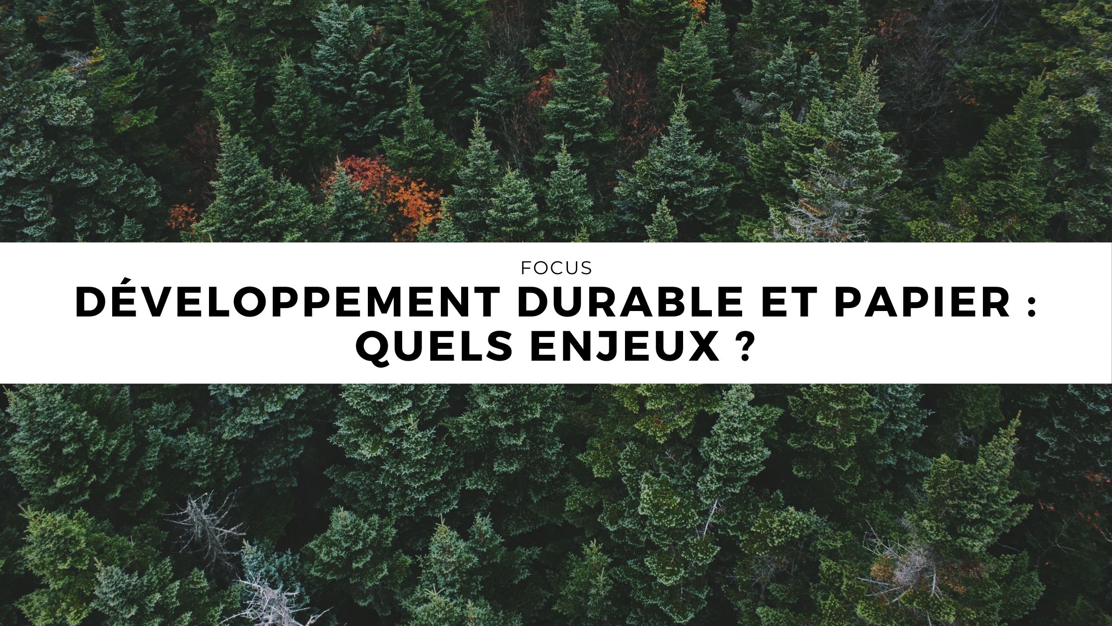 Développement durable et papier : quels enjeux ?
