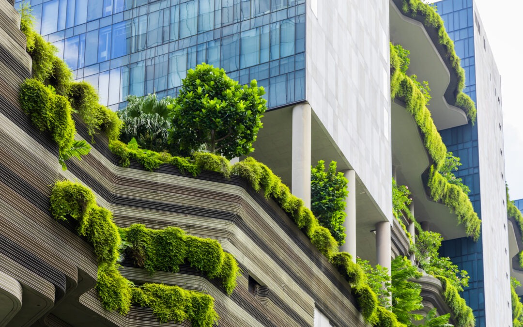 Papier vs numérique : quel choix pour l’environnement